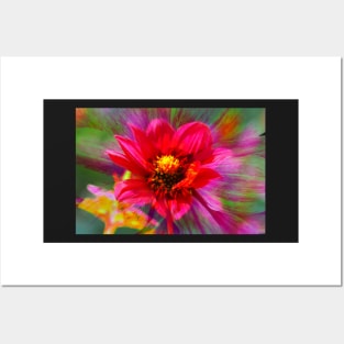 Dahlia, Dahlia, abstract, colorful, flower, bloom Posters and Art